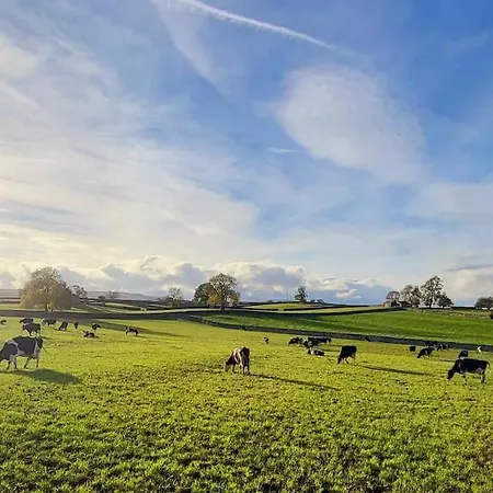 Meadow View Prázdninový dům *